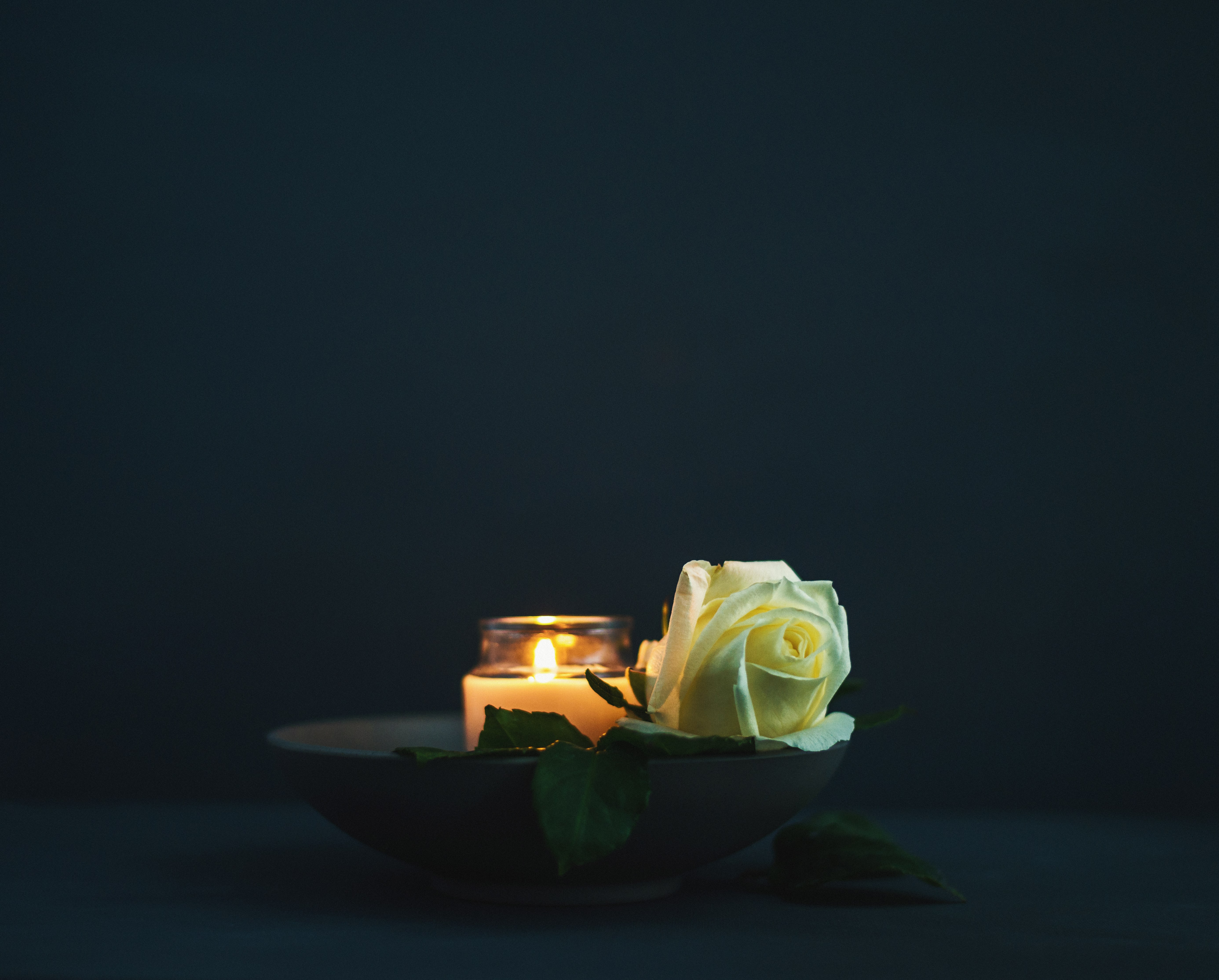 white rose next to a single lit candle