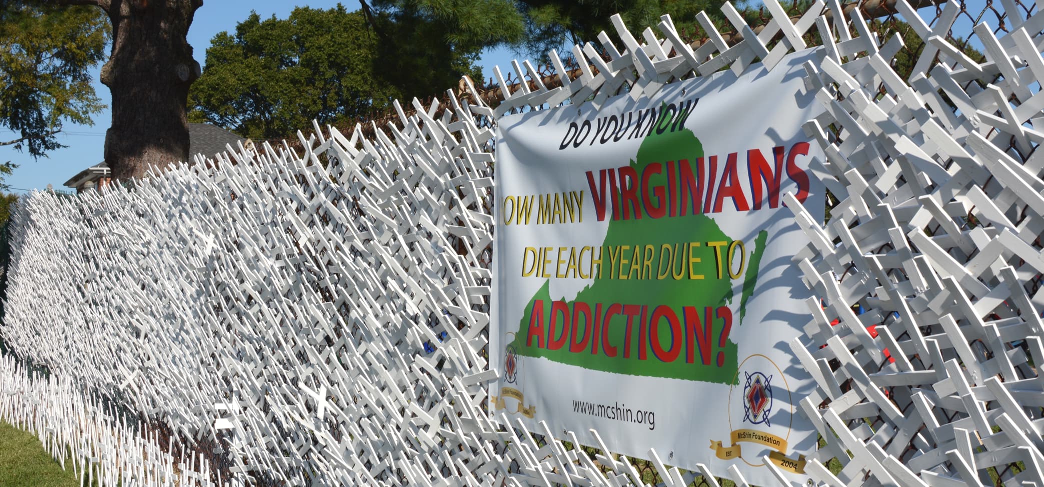 chain link fence with wooden white crosses at the mcshin foundation